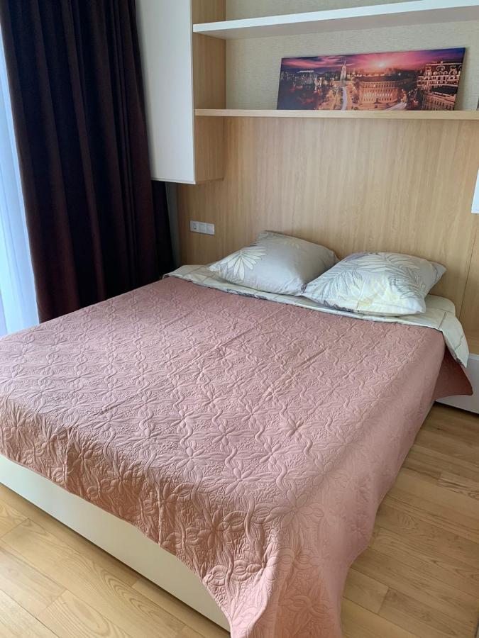 Comfortable Apartments French Quarter Акумулятори Світло Інтернет Завжди Kyjev Exteriér fotografie