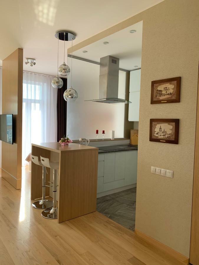 Comfortable Apartments French Quarter Акумулятори Світло Інтернет Завжди Kyjev Exteriér fotografie